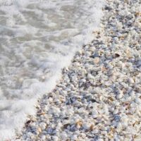 gettyimages-172906626-1-be65e4ff136946e594ea053f7079146c