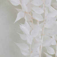 kaboompics_soft-backgrounds-16620