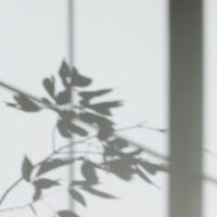 pexels-ann-poan-5797992